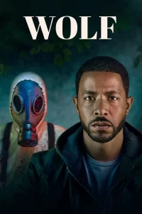 Wolf - Saison 1